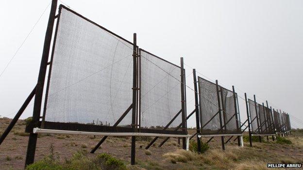 A view of the nets in Pena Blanca