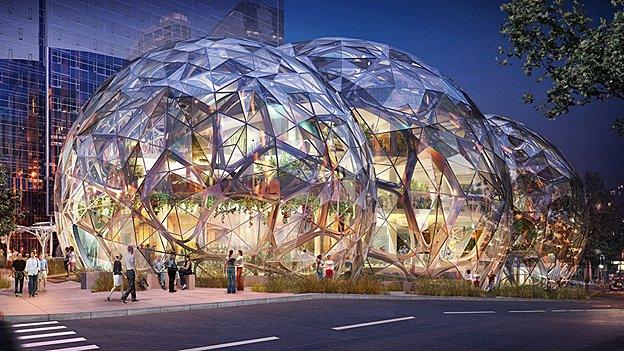 Amazon's biosphere