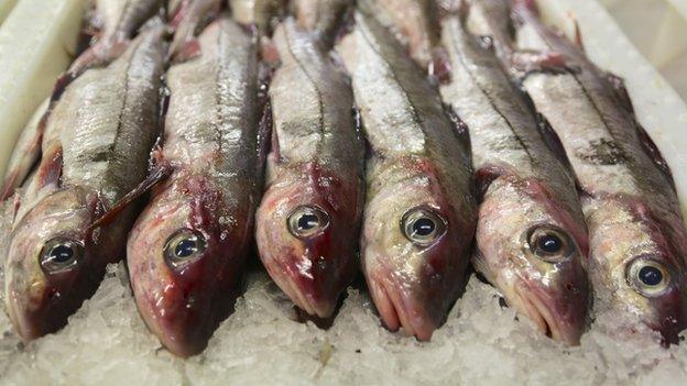 MSC haddock landed at Lerwick fish market