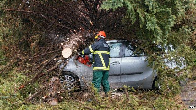 Firefighter works to remove tree from car in Hamburg, Germany, on 5 May 2015