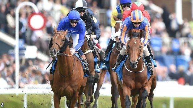 Hans Holbein leads the way at Chester