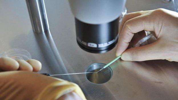 Embryos being placed onto a CryoLeaf ready for instant freezing