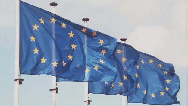 European Union flags