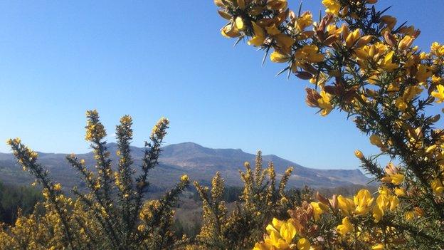 Cader Idris