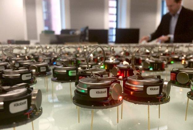 Swarm of miniature robots at the University of Sheffield