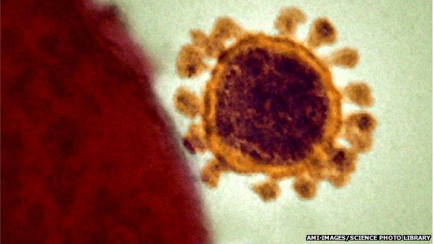 MERS or Middle East Respiratory Syndrome virus
