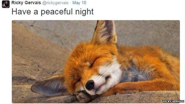 A picture of a sleeping fox cub