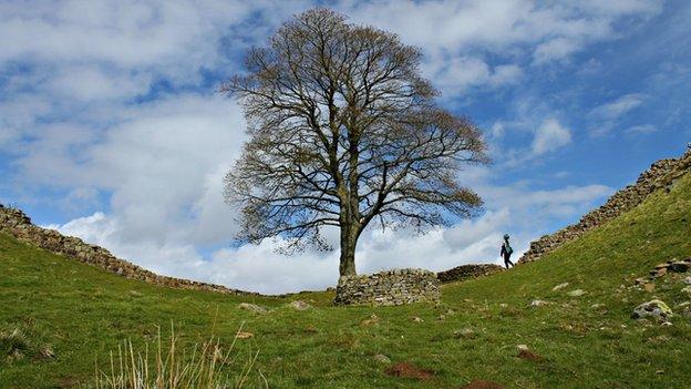 Hadrian's Wall