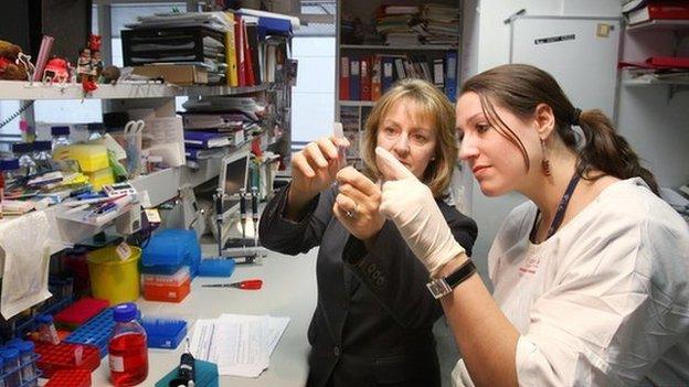 Scientists in Melbourne (file image)