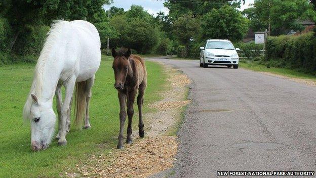 Ponies