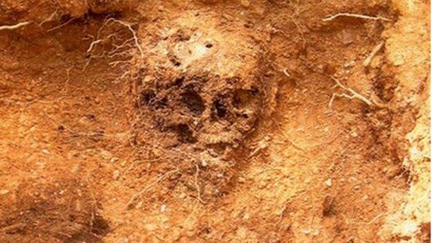 Catherine's skull