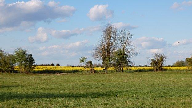 Fields off Fen Road, Bassingbourn