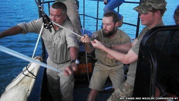 Prince Harry helping to lift a crocodile out of the water