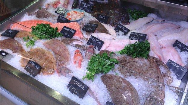 Fish on display at Gloucester Services