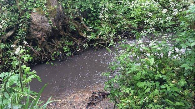 The stream in Cheltenham