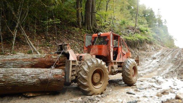 Logging in Romanian forest (pic: Agent Green)