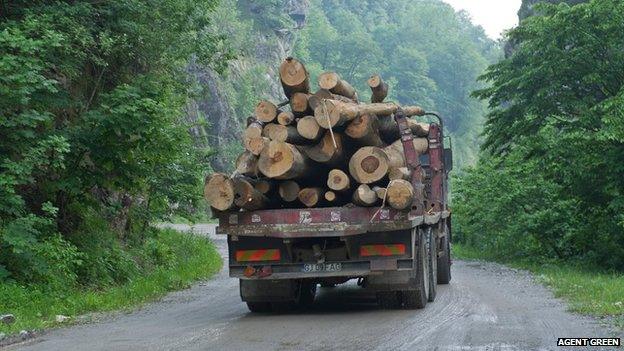 Logging truck (pic: Agent Green)