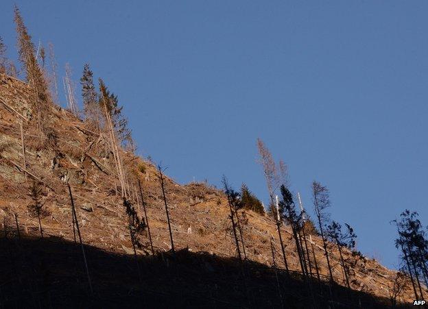 Bare slope in Pojarna Valley