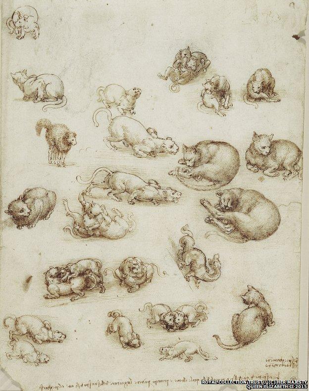 Leonardo da Vinci - Studies of cats, lions and a dragon, c.1513-18