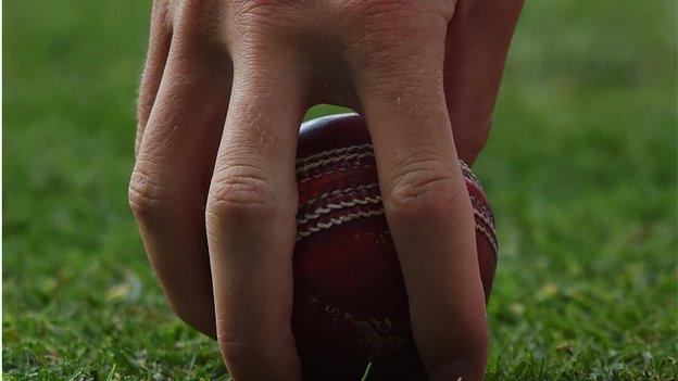 Cricketer with a cricket ball