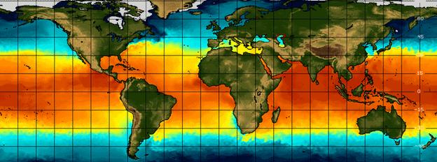 Parts of the Pacific Ocean are unusually warm (in red)