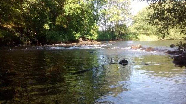 Glan yr afon Teifi yn Maesycrugiau, ar bwys eglwys Llanllwni.