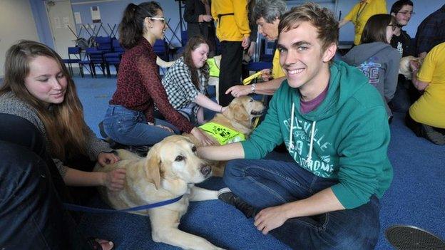 Vet students with dogs