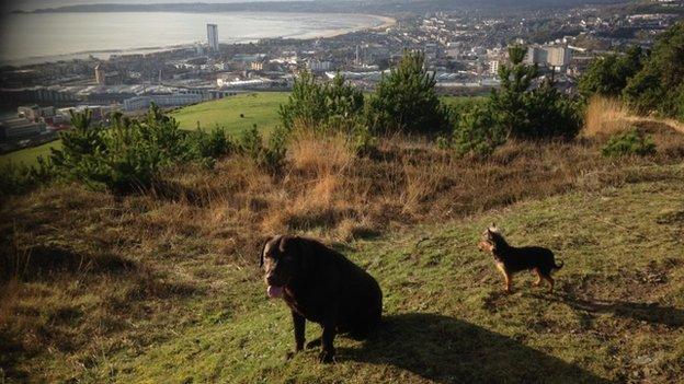 Bae Abertawe o Fynydd Cilfái