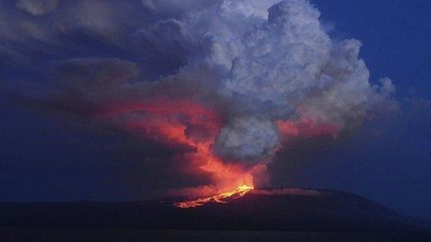 The Wolf volcano spews smoke and lava on Isabela Island, 25 May 2015