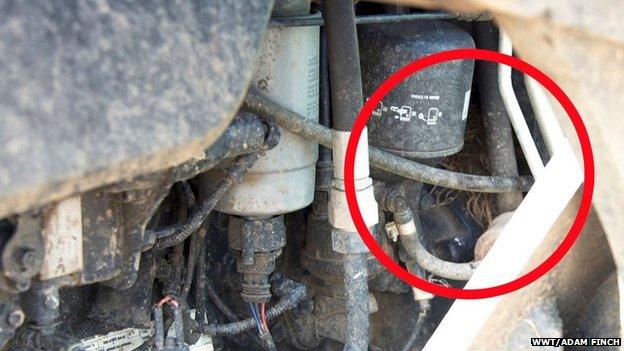 Nest in tractor engine