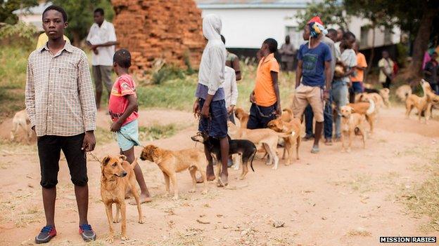 Line of people waiting with their dogs