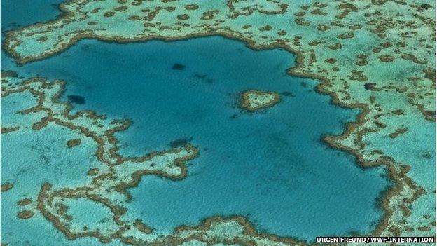 Aerial view of the Great Barrier Reef, Australia