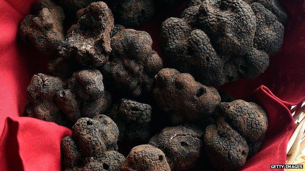 French black truffles
