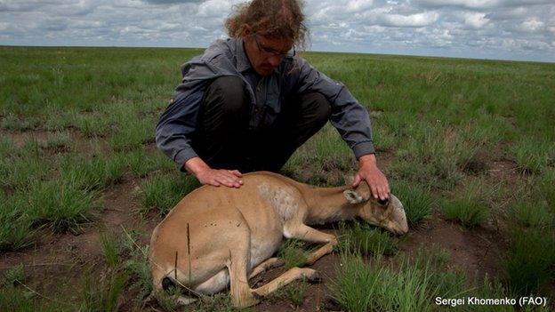 Steffen Zuther with antelope