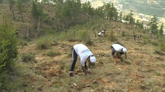 Volunteers breaking the world tree planting record in Bhutan (02 May 2015)