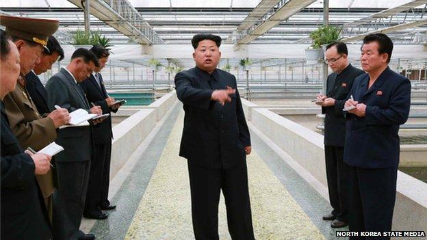 Kim Jong-un at terrapin farm