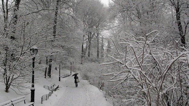 New York's Central Park in March