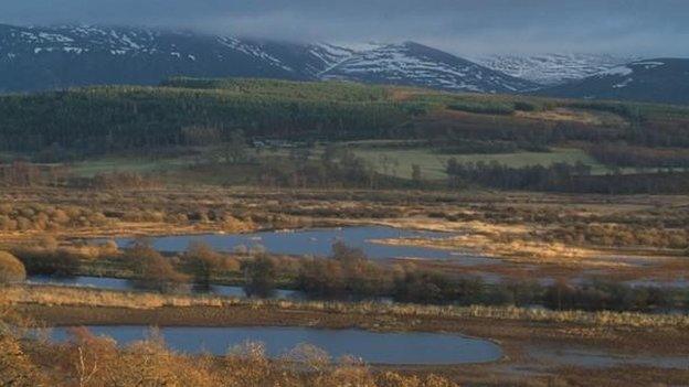 Insh Marshes, Highlands