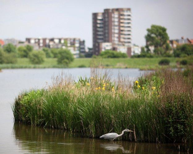 London Wetlands