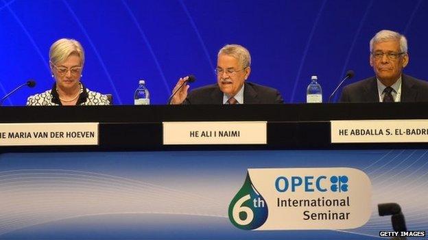 OPEc seminar in Vienna