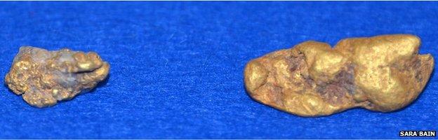 The last significant golden nugget to come out of the waters around Wanlockhead was a piece weighing 4.1 gms. This is (pictured left) forms part of the artifacts at the Lead Mining Museum. The nugget on the right is the one pulled out of the burn on Friday weighing 18.13 gsm.