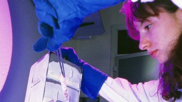 Researcher removes tissue from liquid nitrogen