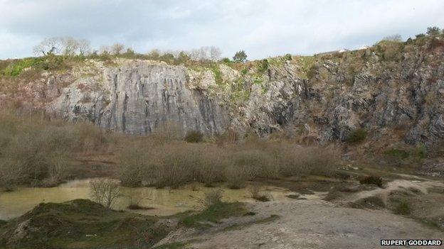 Radford Quarry