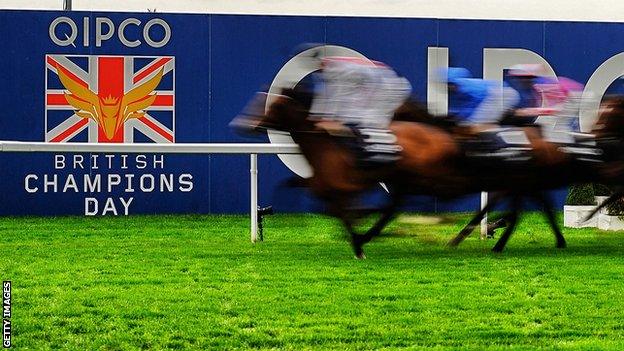 Runners in The Qipco British Champion Long Distance Cup at Ascot in 2014