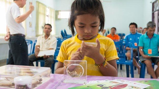 Girl learning about liver flukes