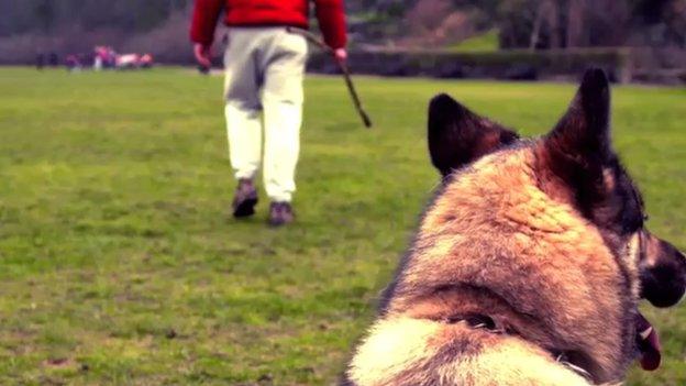 dog and owner in a park