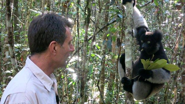 David Shukman and lemur