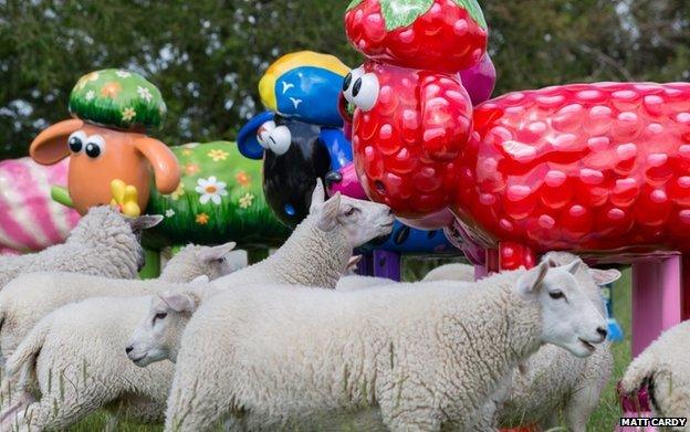 Shaun the Sheep sculptures in a field with real sheep