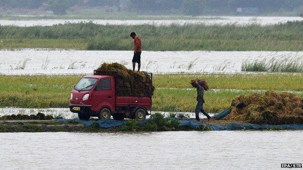 Villagers load their harvested paddy in a pickup van