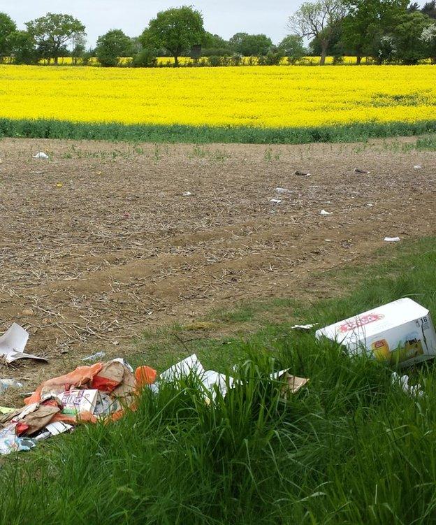Rubbish at Twyford Wood
